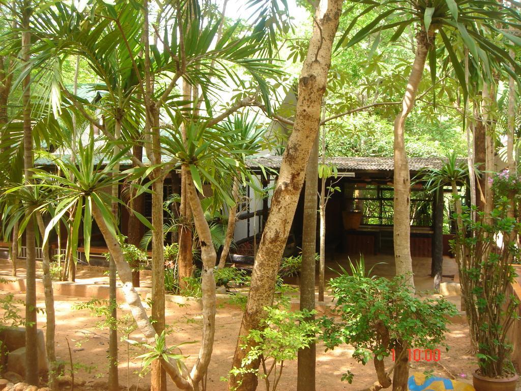 Sam'S Jungle Guesthouse Sai Yok Luaran gambar