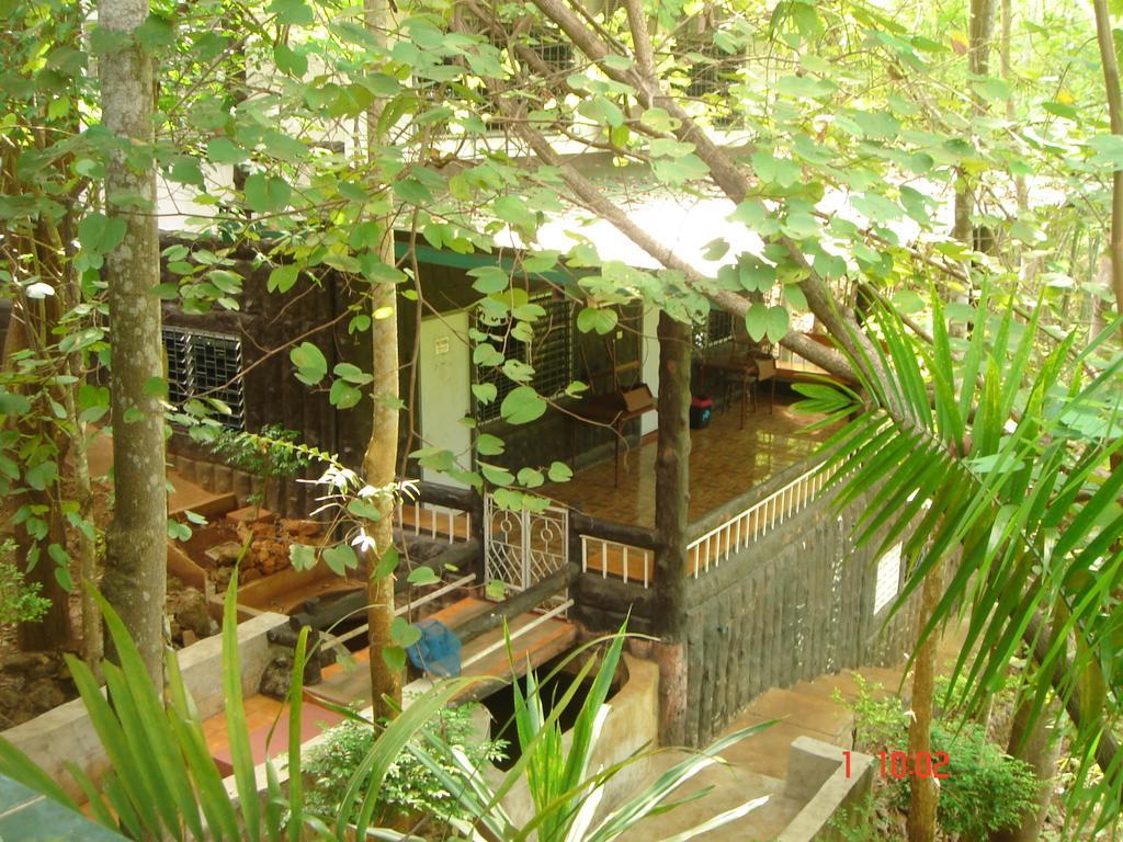 Sam'S Jungle Guesthouse Sai Yok Bilik gambar