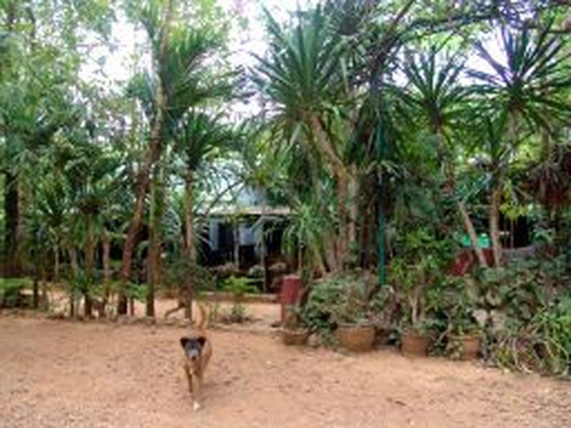 Sam'S Jungle Guesthouse Sai Yok Luaran gambar