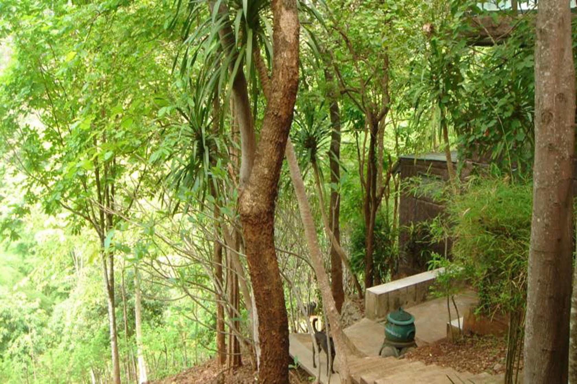 Sam'S Jungle Guesthouse Sai Yok Luaran gambar