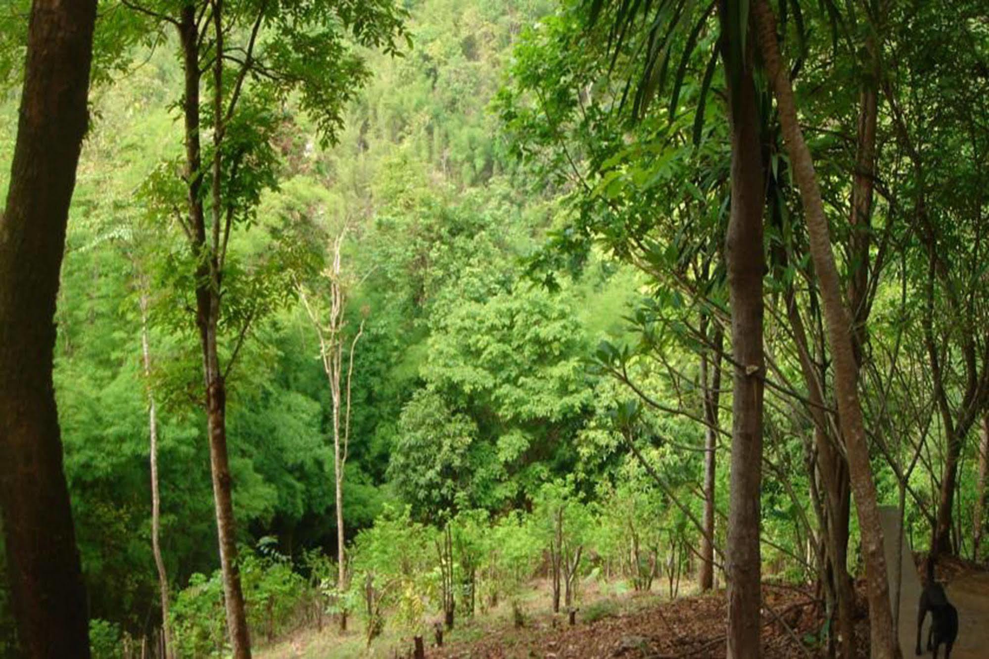 Sam'S Jungle Guesthouse Sai Yok Luaran gambar